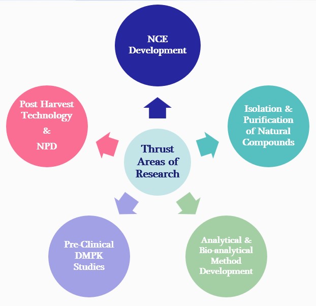 Research Areas Image