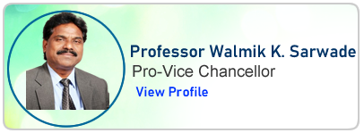 Pro-Vice Chancellor